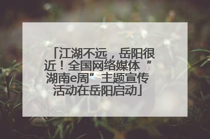 江湖不远，岳阳很近！全国网络媒体“湖南e周”主题宣传活动在岳阳启动
