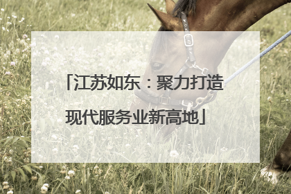 江苏如东：聚力打造现代服务业新高地
