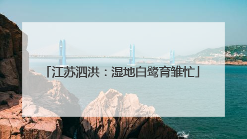 江苏泗洪：湿地白鹭育雏忙