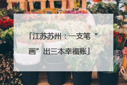 江苏苏州：一支笔“画”出三本幸福账