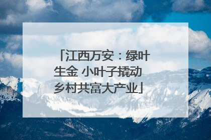 江西万安：绿叶生金 小叶子撬动乡村共富大产业
