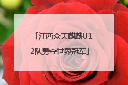江西众天麒麟U12队勇夺世界冠军