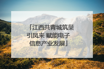 江西共青城筑巢引凤来 赋能电子信息产业发展
