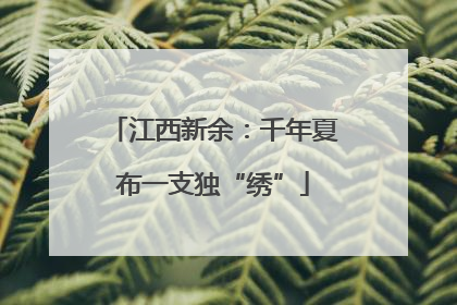 江西新余：千年夏布一支独“绣”