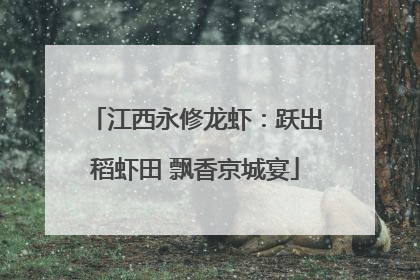 江西永修龙虾：跃出稻虾田 飘香京城宴