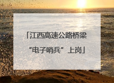 江西高速公路桥梁“电子哨兵”上岗