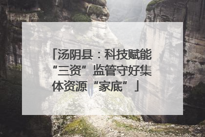 汤阴县：科技赋能“三资”监管守好集体资源“家底”