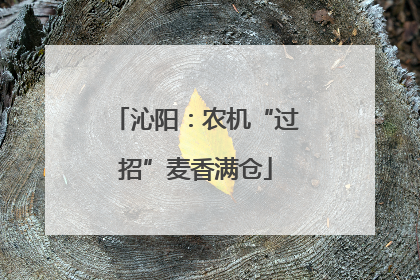 沁阳：农机“过招”麦香满仓