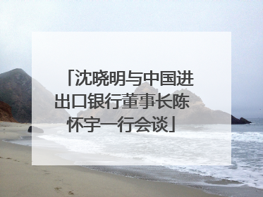 沈晓明与中国进出口银行董事长陈怀宇一行会谈