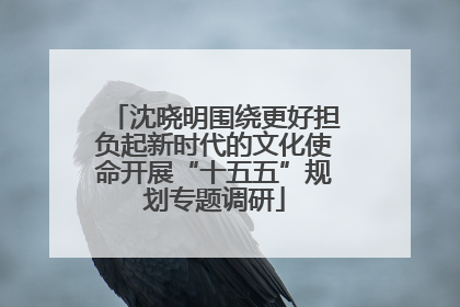 沈晓明围绕更好担负起新时代的文化使命开展“十五五”规划专题调研