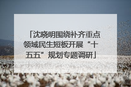 沈晓明围绕补齐重点领域民生短板开展“十五五”规划专题调研