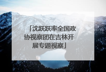 沈跃跃率全国政协视察团在吉林开展专题视察