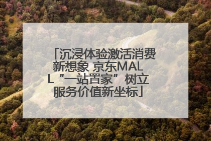 沉浸体验激活消费新想象 京东MALL“一站置家”树立服务价值新坐标