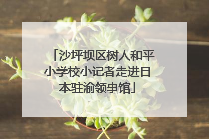 沙坪坝区树人和平小学校小记者走进日本驻渝领事馆