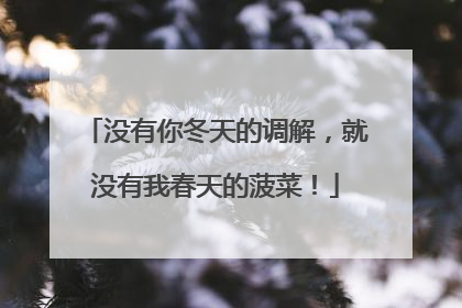 没有你冬天的调解，就没有我春天的菠菜！