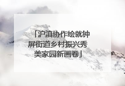 沪滇协作绘就钟屏街道乡村振兴秀美家园新画卷