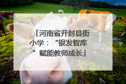 河南省开封县街小学：“银发智库”赋能教师成长