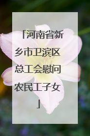 河南省新乡市卫滨区总工会慰问农民工子女