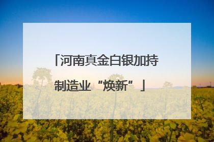 河南真金白银加持制造业“焕新”