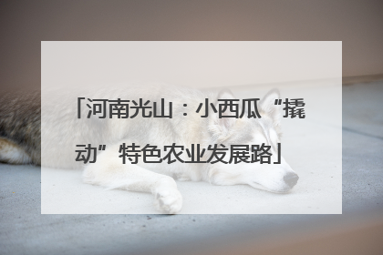 河南光山：小西瓜“撬动”特色农业发展路