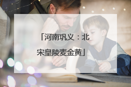 河南巩义：北宋皇陵麦金黄