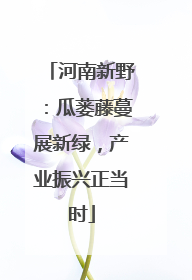 河南新野：瓜蒌藤蔓展新绿，产业振兴正当时
