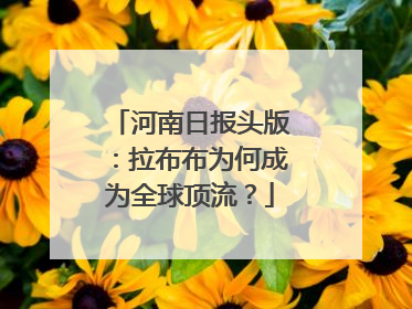河南日报头版：拉布布为何成为全球顶流？