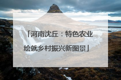 河南沈丘：特色农业绘就乡村振兴新图景