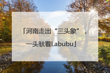 河南走出“三头象”，一头驮着Labubu