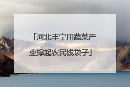 河北丰宁用蔬菜产业撑起农民钱袋子