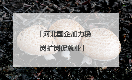 河北国企加力稳岗扩岗促就业