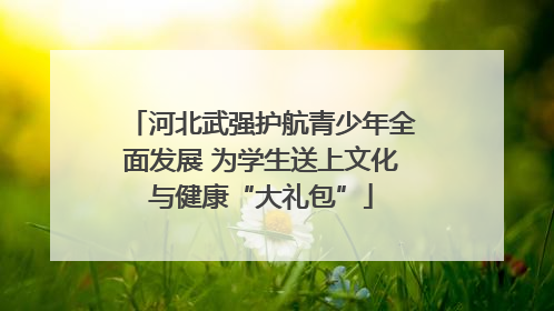 河北武强护航青少年全面发展 为学生送上文化与健康“大礼包”