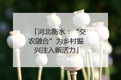 河北衡水：“交农融合”为乡村振兴注入新活力