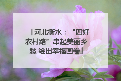 河北衡水：“四好农村路”串起美丽乡愁 绘出幸福画卷