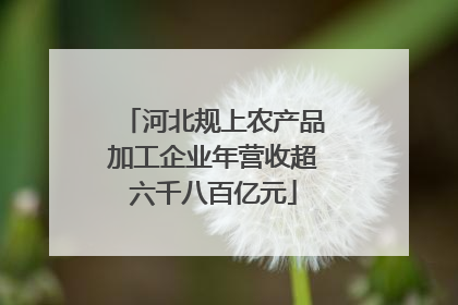 河北规上农产品加工企业年营收超六千八百亿元