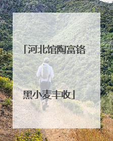 河北馆陶富铬黑小麦丰收