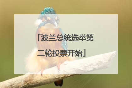 波兰总统选举第二轮投票开始