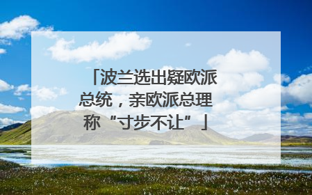 波兰选出疑欧派总统，亲欧派总理称“寸步不让”