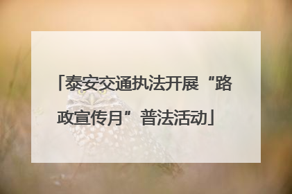 泰安交通执法开展“路政宣传月”普法活动