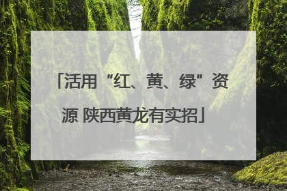 活用“红、黄、绿”资源 陕西黄龙有实招