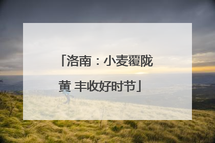 洛南：小麦覆陇黄 丰收好时节