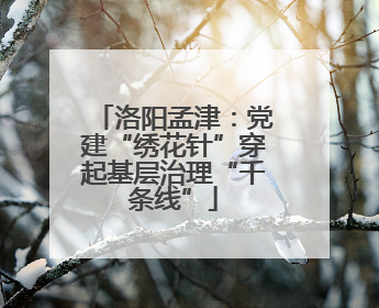 洛阳孟津：党建“绣花针”穿起基层治理“千条线”