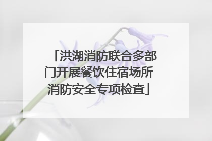 洪湖消防联合多部门开展餐饮住宿场所消防安全专项检查