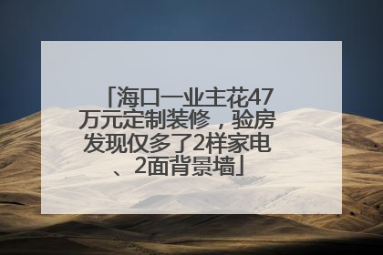 海口一业主花47万元定制装修，验房发现仅多了2样家电、2面背景墙