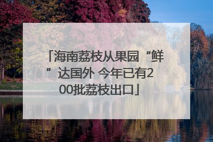 海南荔枝从果园“鲜”达国外 今年已有200批荔枝出口