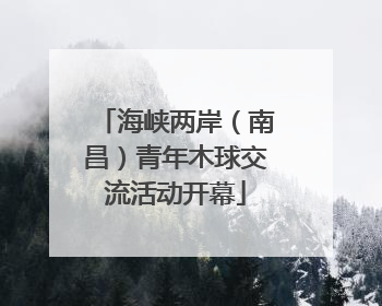 海峡两岸（南昌）青年木球交流活动开幕