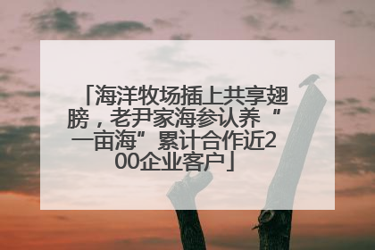 海洋牧场插上共享翅膀，老尹家海参认养“一亩海”累计合作近200企业客户