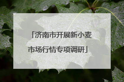 济南市开展新小麦市场行情专项调研