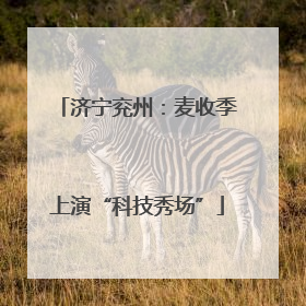 济宁兖州：麦收季上演“科技秀场”