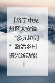 济宁市兖州区大安镇“多元协同”激活乡村振兴新动能